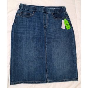 Lands' End Skirt